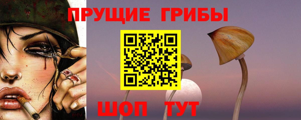 Псилоцибиновые грибы прущие грибы  Вход с VPN  Гагарин  Псилоцибиновые грибы ЛСД 