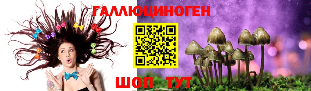 Псилоцибиновые грибы прущие грибы Гагарин